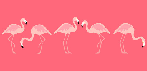Obraz premium Flamingo tropical birds isolated on white background