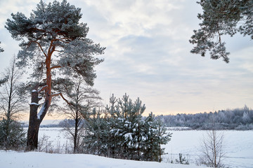 View from the shore of a river or lake, when the water is covered with a of ice powdered with snow and trees foreground. Winter landscape