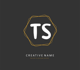 T S TS Initial letter handwriting and signature logo. A concept handwriting initial logo with template element.