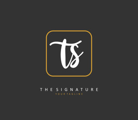 T S TS Initial letter handwriting and signature logo. A concept handwriting initial logo with template element.