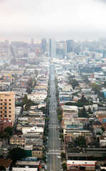 Fototapeta premium Photo