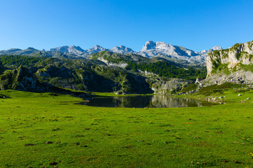 Fototapeta na wymiar Serene summer mountain landscape with highland lake on sunny day, Covadonga, Asturias, Spain ..