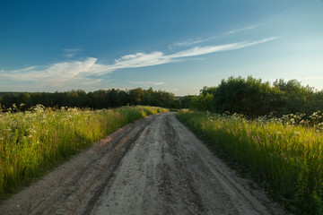 Dirty road in summer green field