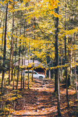 white suv car in autumn forest near gazebo
