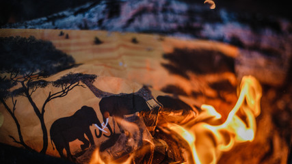 Abstraction of burning nature