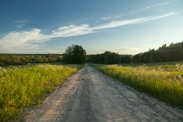 Naklejka premium Dirty road in summer green field