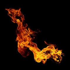 Fire burning flames on a black background