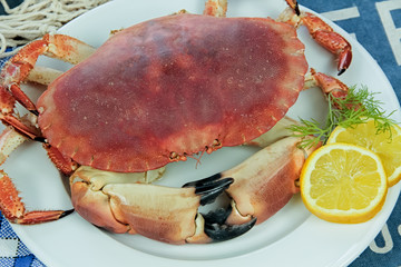 crabe entier cuit dans une assiette