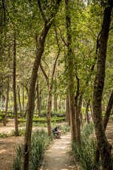 Fototapeta premium Lectura inmersa 