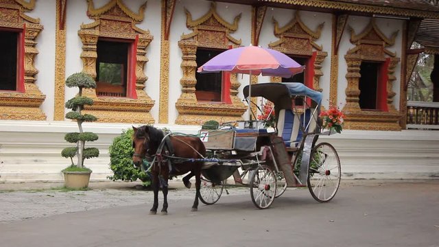 Horse carriage at White Triangle Pagoda, Wat Chedi Liam, chiangmai
