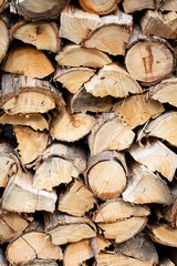 front on shot of cut wood for winter fire in Tasmania