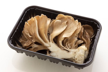 菌床栽培の舞茸