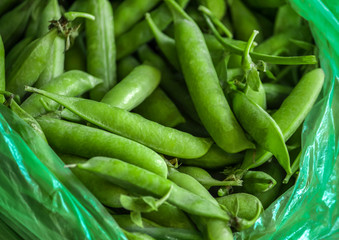 lots of green pods of fresh peas in a bag