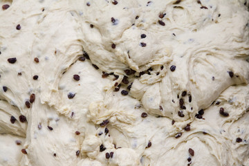 texture of fresh raisin cake dough