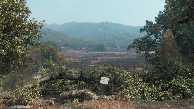 Napa, California, USA. 22 August 2020. Aerial of burnt forest and farmland in the LNU Lightning Complex Fire that ravaged the Napa, Sonoma, Lake and Solano counties.