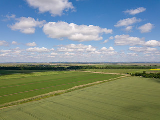 Agriculture farm crop field. Aerial drone panorama photo.