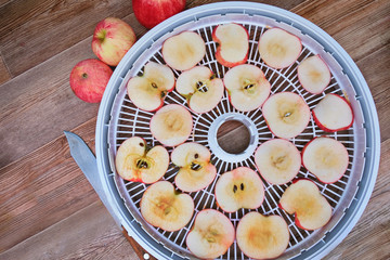 Thinly sliced fresh apples lie on electric drying. Preparation of Apple chips. Slices-vegetarian delicacy. the concept is a healthy diet.