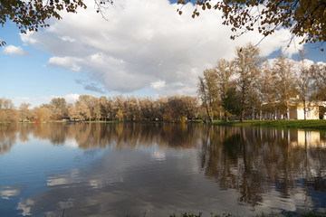 Small lake autumn park landscape with bright trees