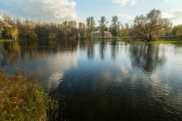 Autumn park landscape with bright trees