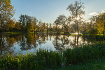 Autumn park landscape with bright trees