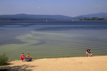 Algae bloom in Lipno lake, Czech Republic
