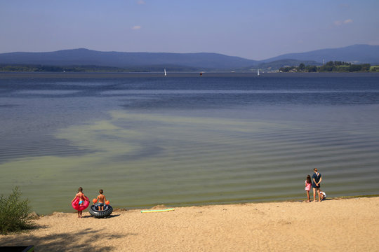 Algae bloom in Lipno lake, Czech Republic