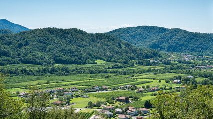 Fototapeta na wymiar Beautiful rural landscape with Italian vineyards at Ramandolo, Udine province, Friuli Venezia Giulia, Italy