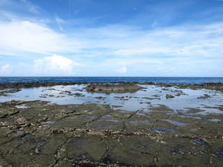 The Lotus Terrace (桶盤蓮花座) in Tongpan Island, Penghu County, TAIWAN