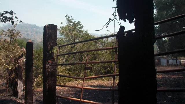 Napa, California, USA. 22 August 2020. Remains of a charred fence post in the LNU Lightning Complex Fire that ravaged the Napa, Sonoma, Lake and Solano counties.