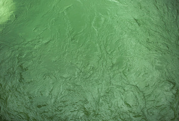Green surface of river water .Textured background