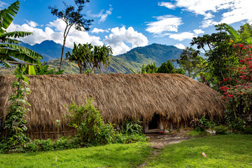 Fototapeta na wymiar Aboriginal thatched roof hut is a typical abode of the indigenous population of Papua New Guinea. Indonesia