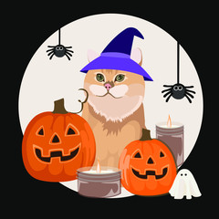 Some cute and funny idea for Halloween decorations, including Halloween pumpkins, little ghosts, candles, spider, and a lovely spooky cat.