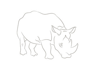 rhino vector illustration, line drawing, vector