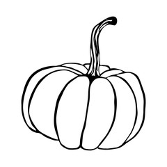 Doodle pumpkin. single element isolated on a white background