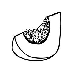 pumpkin slice with seeds in the Doodle style. single element isolated on a white background