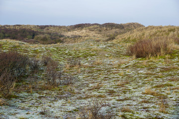 Cold ground with ice in National Park Zuid-Kennemerland (The Netherlands)