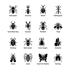 Insect And Bug Icons