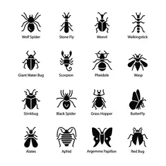 Fotobehang Insect And Bug Icons © Prosymbols