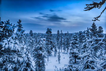alba in lapponia con nuvole e tanta neve