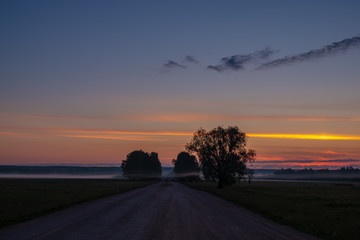 Obraz premium Dirt road deep in the forest. A sunset.