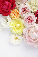 Fresh roses on white background, floral flowers blooming garden wedding pattern, pastel wallpaper fine art phopto, instagram flat lay commercial photography