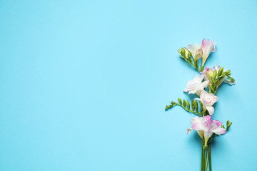 Beautiful blooming freesias on light blue background, flat lay. Space for text