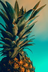 Obraz premium pineapple on the beach