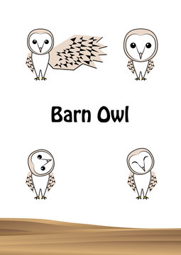 メンフクロウ Images Browse 264 Stock Photos Vectors And Video Adobe Stock