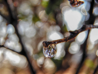aguas, gotas, macro, flore, ,amor ,naturaleza,  love, fuego, chispero, fotos macro, productos, naturalezas, 