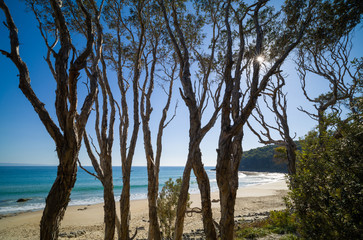 Tea Tree Bay, Noosa National Park