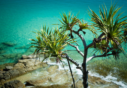 Noosa National Park