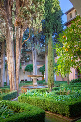 Fototapeta na wymiar Garden in the arabic palace complex of Alhambra in Granda Spain