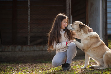 Portrait of a beautiful girl with a large dog of breed Alabai. Girl and dog. Friendship.