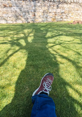 Persona sentada sobre el césped bajo la sombra de un árbol